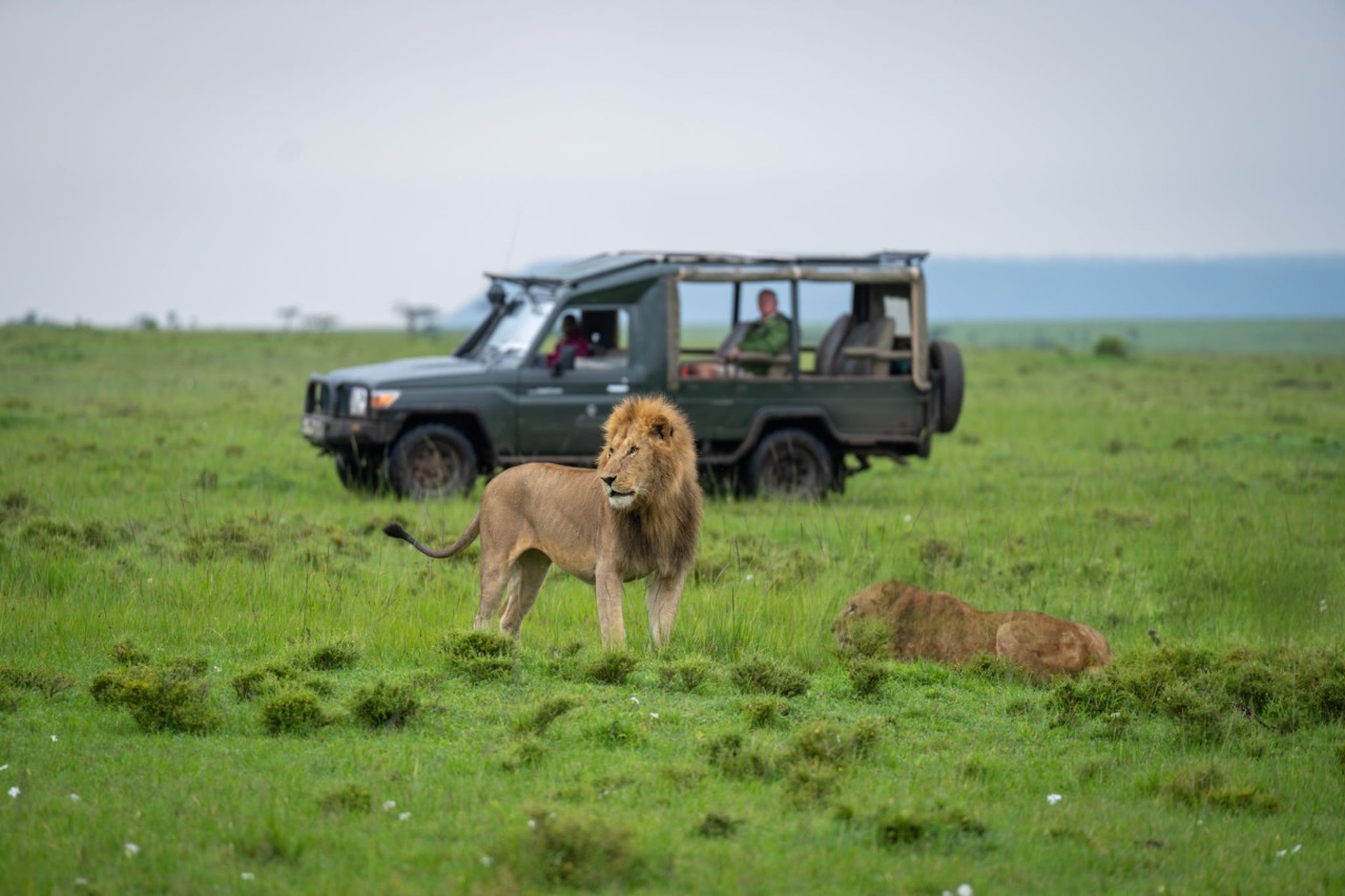 Game Drive Safari at Kileleoni Mara Gateway