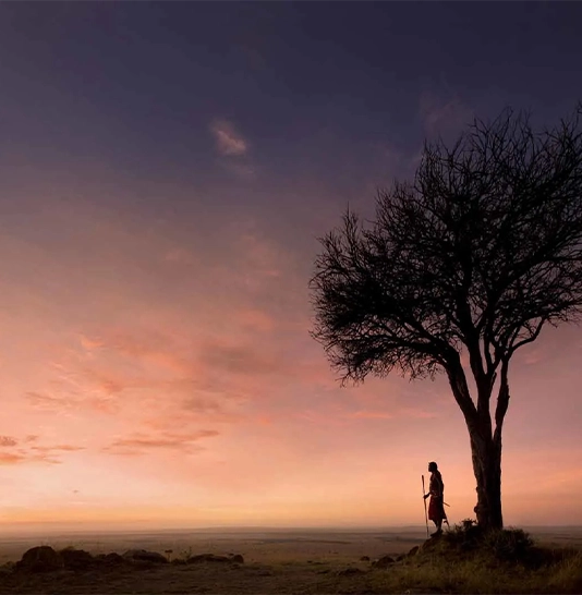 Maasai Mara Wildlife