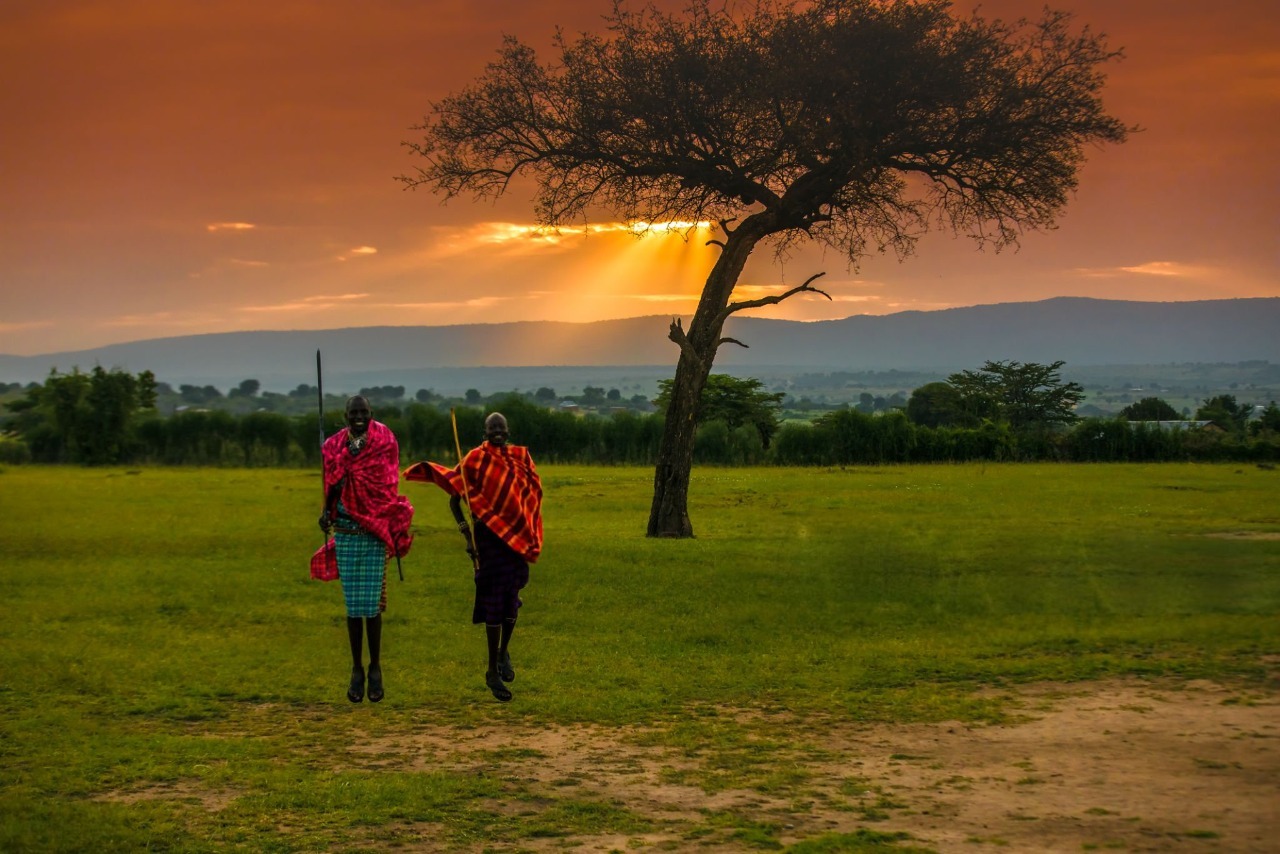 Lions in Maasai Mara