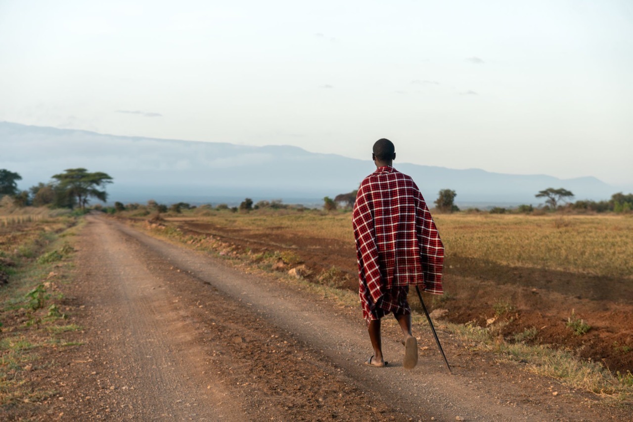 Elephants in Maasai Mara